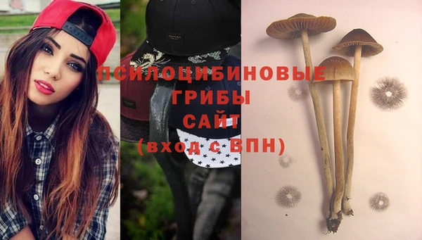 Альфа ПВП Богданович