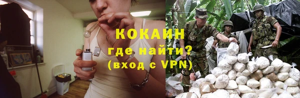 дживик Белокуриха