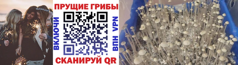 Псилоцибиновые грибы ЛСД Киселёвск